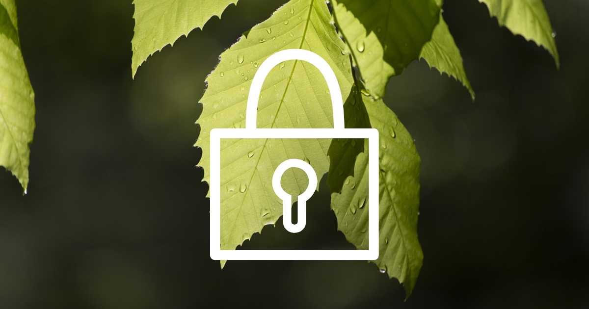 CCPA and AdThrive publishers