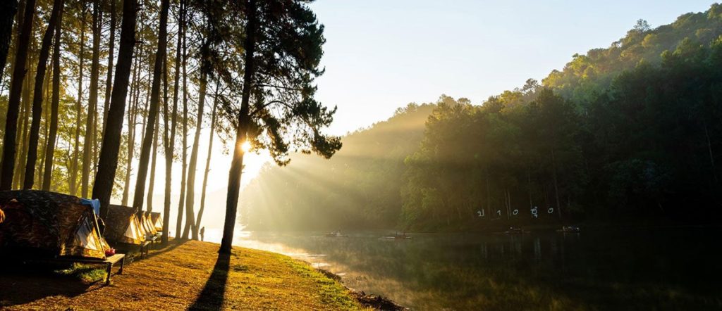 An outdoor campsite next to water with the sun shining through the trees