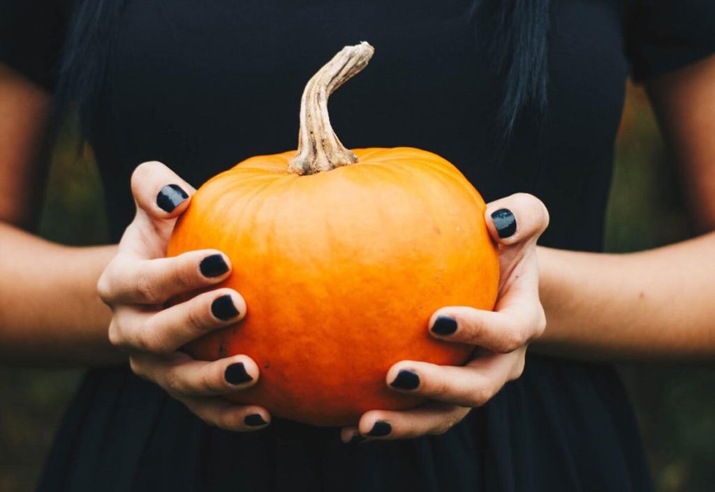 Hands holding a small orange pumpkin