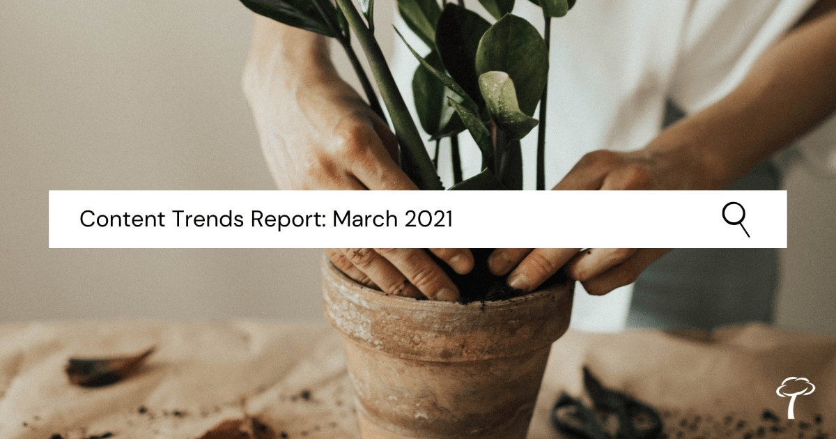 image of two hands placing a plant in a pot and a search bar with