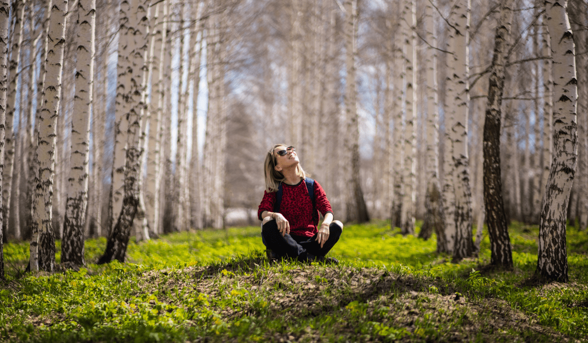 woman sitting in a field of aspen trees looking up