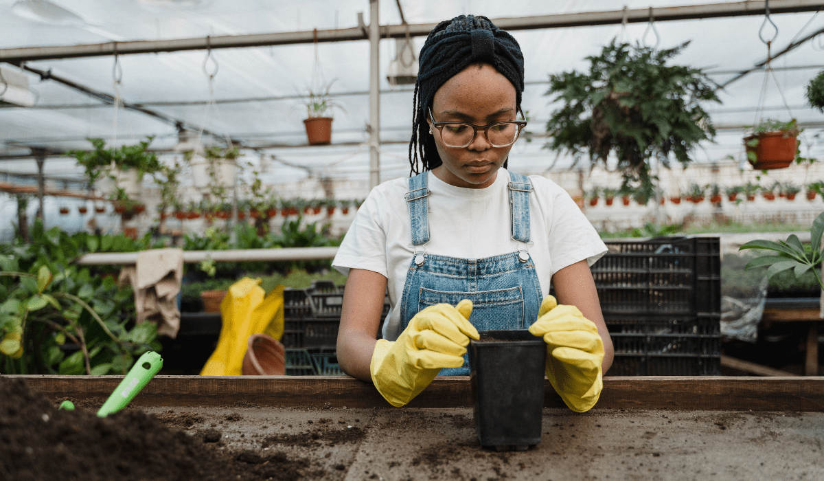 Person in a greenhouse wearing gloves and working with a pot